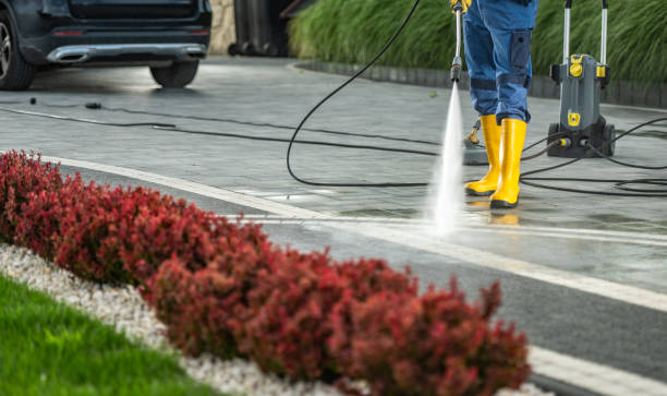 Professional Pressure washing in Fruitland, NC